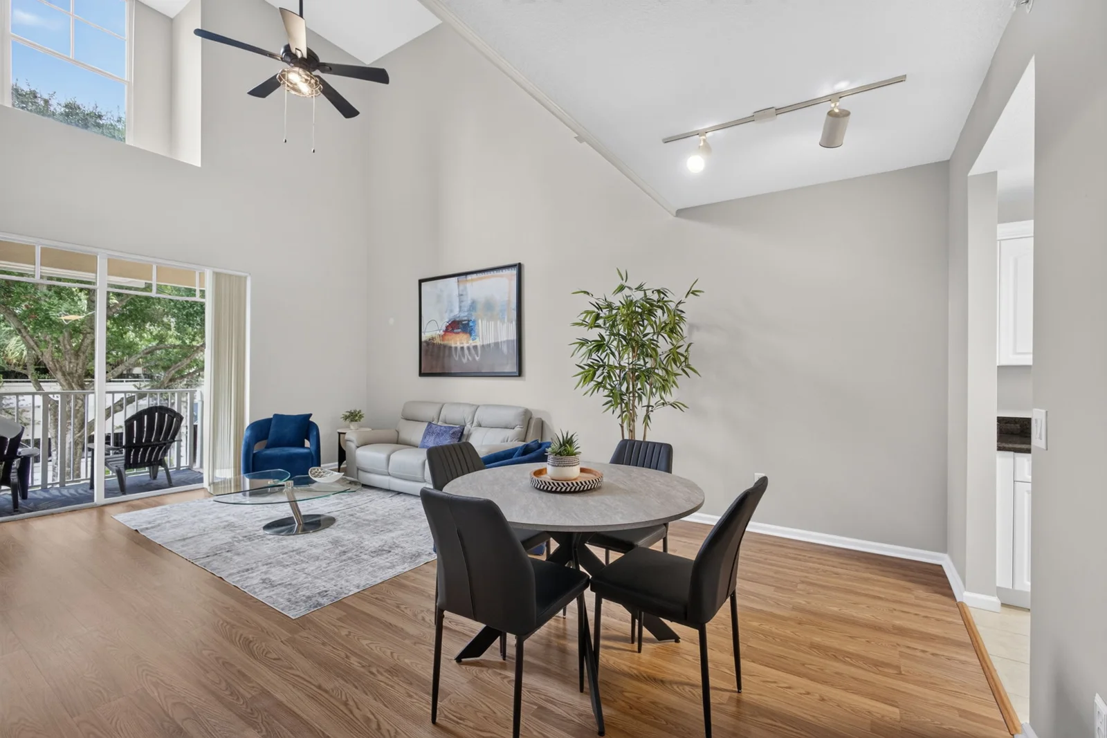Living and dining area